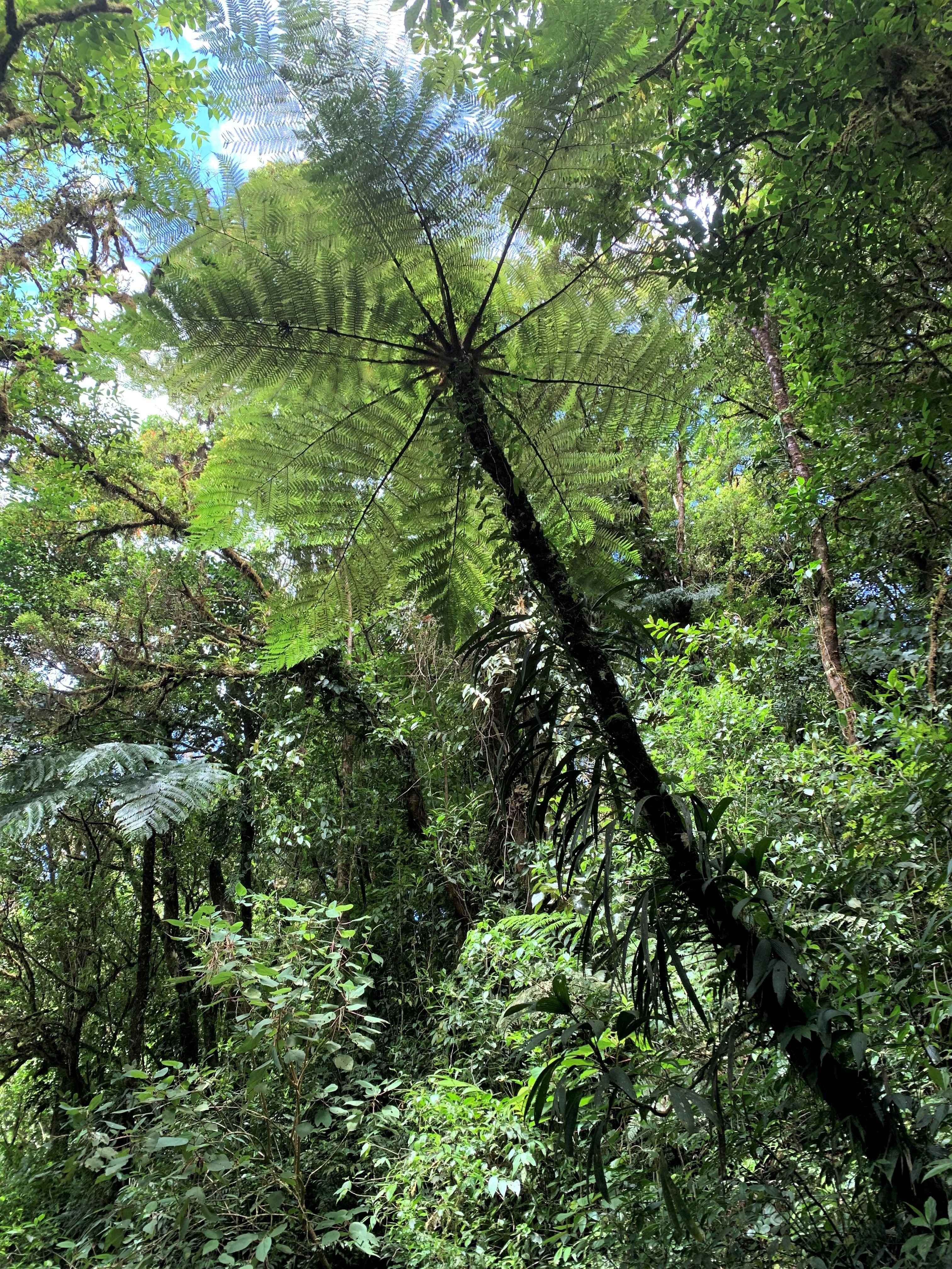 Costa Rica